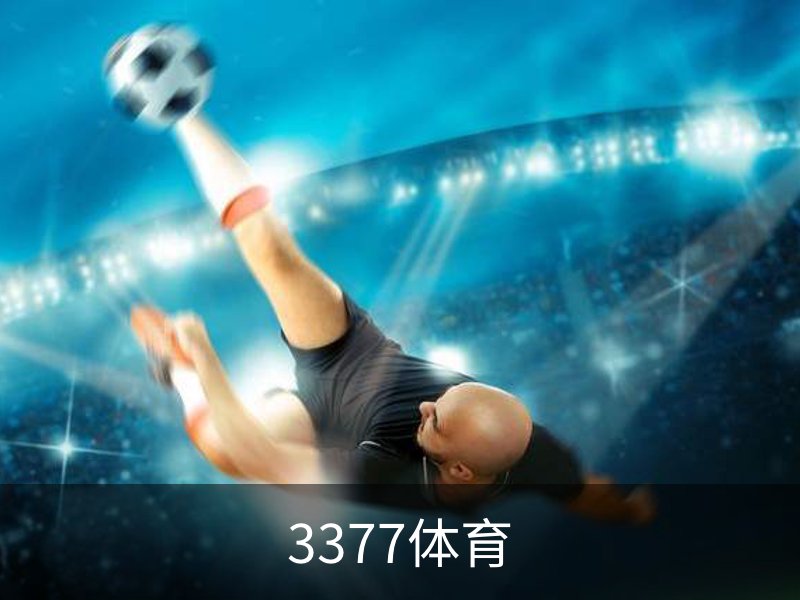 3377体育概况